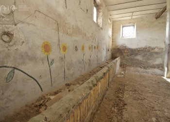 Foto 24 - Rustic C.da Macigne
 
snc, Monteprandone - photo 24