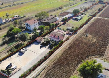 Foto 12 - Casa indipendente Via Bonifica del Tronto
 
34, Controguerra - foto 12