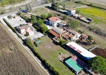 Foto 14 - Casa indipendente Via Bonifica del Tronto
 
34, Controguerra - foto 14