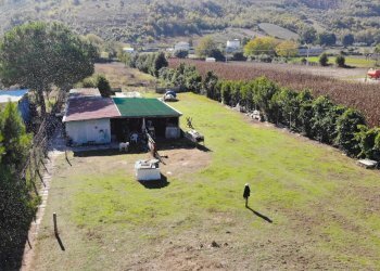 Foto 21 - Casa indipendente Via Bonifica del Tronto
 
34, Controguerra - foto 21