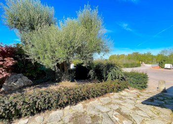 Foto 27 - Casa indipendente Via Bonifica del Tronto
 
34, Controguerra - foto 27