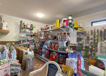 Foto 29 - Casa indipendente Via Bonifica del Tronto
 
34, Controguerra - foto 29