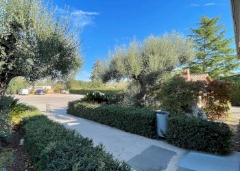 Foto 34 - Casa indipendente Via Bonifica del Tronto
 
34, Controguerra - foto 34