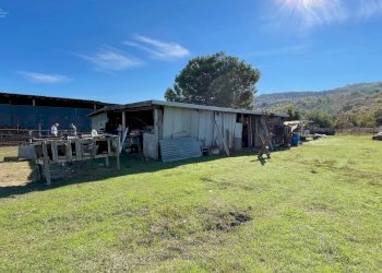 Foto 40 - Casa indipendente Via Bonifica del Tronto
 
34, Controguerra - foto 40
