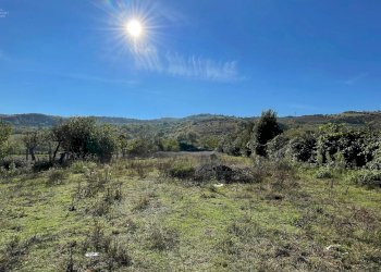 Foto 41 - Casa indipendente Via Bonifica del Tronto
 
34, Controguerra - foto 41