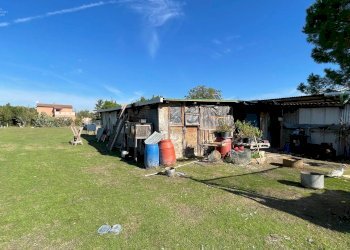 Foto 42 - Casa indipendente Via Bonifica del Tronto
 
34, Controguerra - foto 42