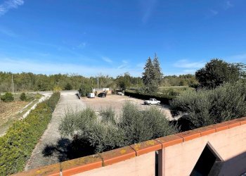 Foto 59 - Casa indipendente Via Bonifica del Tronto
 
34, Controguerra - foto 59