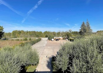 Foto 63 - Casa indipendente Via Bonifica del Tronto
 
34, Controguerra - foto 63