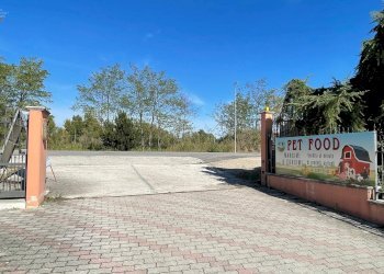 Foto 68 - Casa indipendente Via Bonifica del Tronto
 
34, Controguerra - foto 68