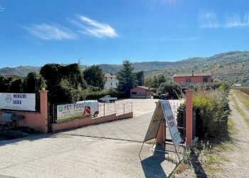 Foto 69 - Casa indipendente Via Bonifica del Tronto
 
34, Controguerra - foto 69