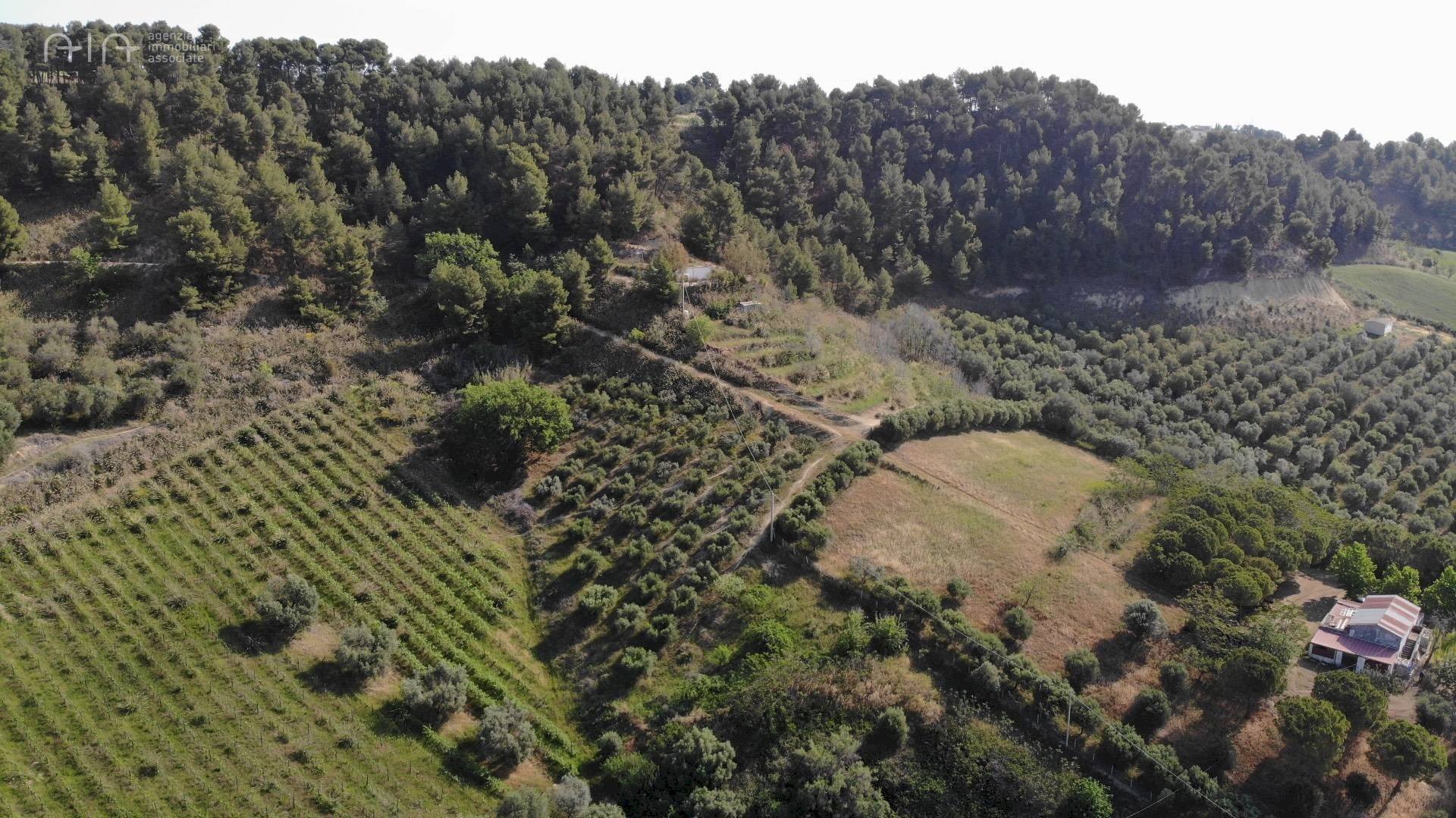 Foto 3 - Agricultural land Via Santa lucia
 
snc, Monteprandone - photo 3