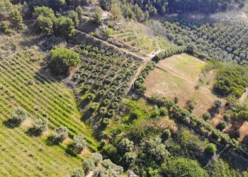 Foto 1 - Agricultural land Via Santa lucia
snc, Monteprandone - photo 1