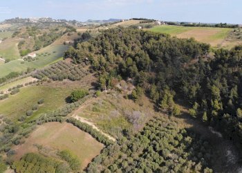 Foto 2 - Agricultural land Via Santa lucia
snc, Monteprandone - photo 2