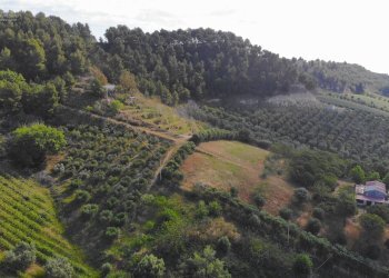 Foto 5 - Agricultural land Via Santa lucia
snc, Monteprandone - photo 5