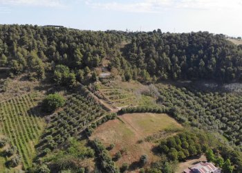 Foto 8 - Agricultural land Via Santa lucia
snc, Monteprandone - photo 8