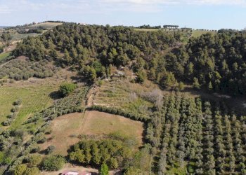 Foto 9 - Agricultural land Via Santa lucia
snc, Monteprandone - photo 9