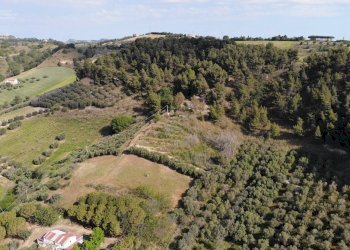 Foto 10 - Agricultural land Via Santa lucia
snc, Monteprandone - photo 10