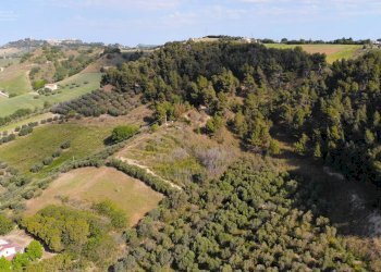 Foto 11 - Agricultural land Via Santa lucia
snc, Monteprandone - photo 11