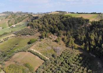 Foto 12 - Agricultural land Via Santa lucia
snc, Monteprandone - photo 12