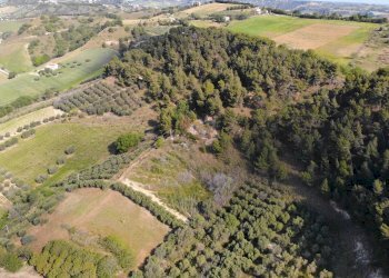 Foto 13 - Agricultural land Via Santa lucia
snc, Monteprandone - photo 13