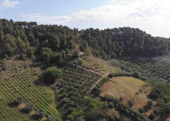 Foto 14 - Agricultural land Via Santa lucia
snc, Monteprandone - photo 14