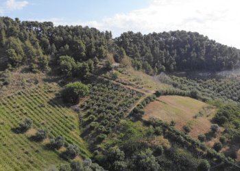 Foto 15 - Agricultural land Via Santa lucia
snc, Monteprandone - photo 15