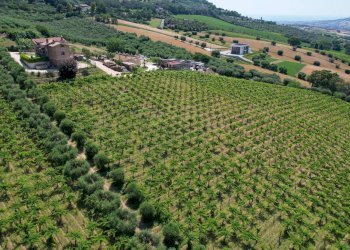 Foto 38 - Villa Via delle Sorgenti
 
SNC, Colonnella - foto 38