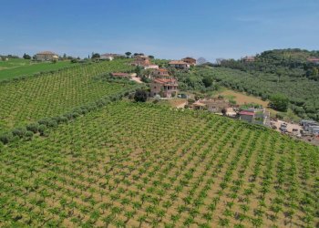 Foto 40 - Villa Via delle Sorgenti
 
SNC, Colonnella - foto 40