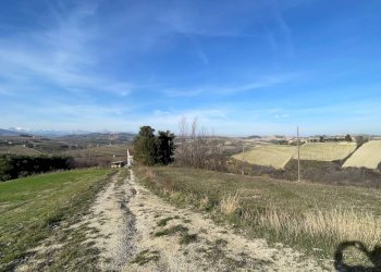 Foto 12 - Rustico Contrada San Gregorio
 
snc, Ripatransone - foto 12