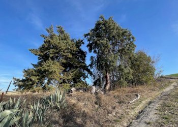 Foto 14 - Rustico Contrada San Gregorio
 
snc, Ripatransone - foto 14