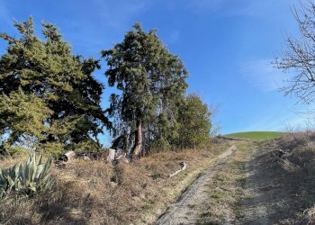 Foto 15 - Rustico Contrada San Gregorio
 
snc, Ripatransone - foto 15