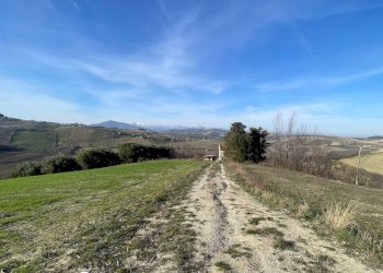 Foto 16 - Rustico Contrada San Gregorio
 
snc, Ripatransone - foto 16