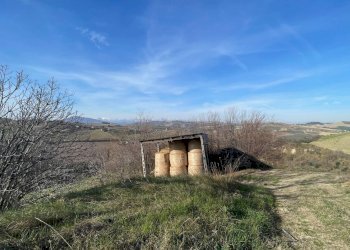 Foto 19 - Rustico Contrada San Gregorio
 
snc, Ripatransone - foto 19