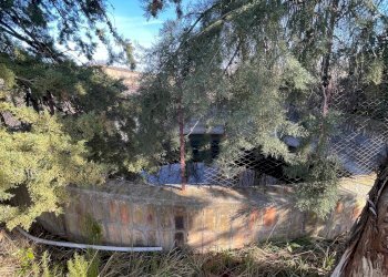 Foto 21 - Rustico Contrada San Gregorio
 
snc, Ripatransone - foto 21