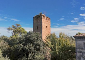 Foto 6 - Villa Via Nazario Sauro
 
59, San Benedetto del Tronto - photo 6