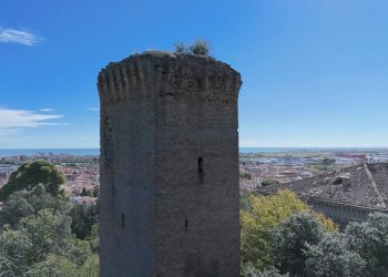 Foto 9 - Villa Via Nazario Sauro
 
59, San Benedetto del Tronto - photo 9