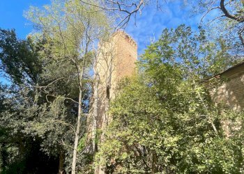 Foto 11 - Villa Via Nazario Sauro
 
59, San Benedetto del Tronto - photo 11