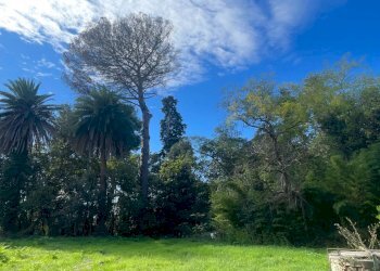 Foto 26 - Villa Via Nazario Sauro
 
59, San Benedetto del Tronto - photo 26