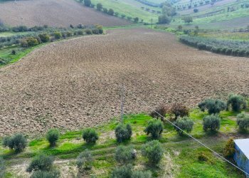 Foto 10 - Terreno edificabile Contrada Monterone
 
snc, Monteprandone - foto 10