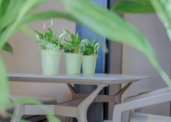 Foto 12 - One-room apartment Via Formentini
 
1, San Benedetto del Tronto - photo 12