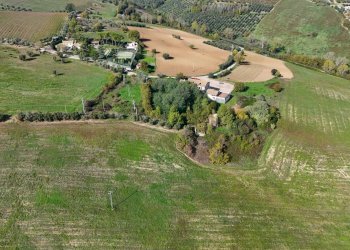 Foto 16 - Rustico Via Madonna delle Piane
 
snc, Acquaviva Picena - foto 16