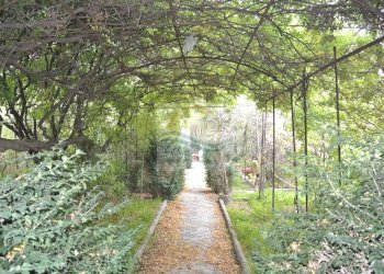 Foto 8 - Villa Vicolo Arene, Ventimiglia - foto 8