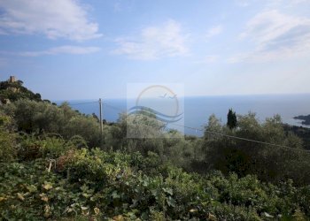 Foto 9 - Villa Via Fontana, Ventimiglia - foto 9