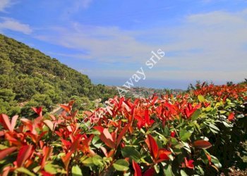 Foto 12 - Monolocale Conca Verde, Vallecrosia - foto 12