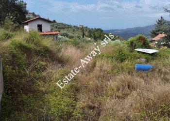 Foto 6 - Villa Strada Sanferian, Soldano - foto 6