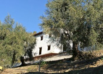 Foto 8 - Villa Strada Sanferian, Soldano - foto 8