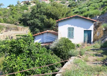 Foto 13 - Rustic Via Cornice Dei Due Golfi, Bordighera - photo 13