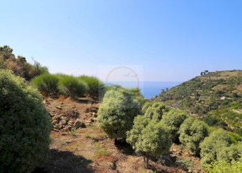 Foto 15 - Rustic Via Cornice Dei Due Golfi, Bordighera - photo 15