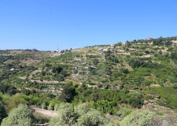 Foto 16 - Rustic Via Cornice Dei Due Golfi, Bordighera - photo 16