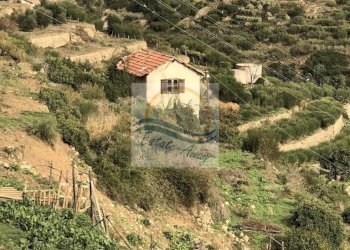 Foto 7 - Villa Via dei colli, Bordighera - foto 7